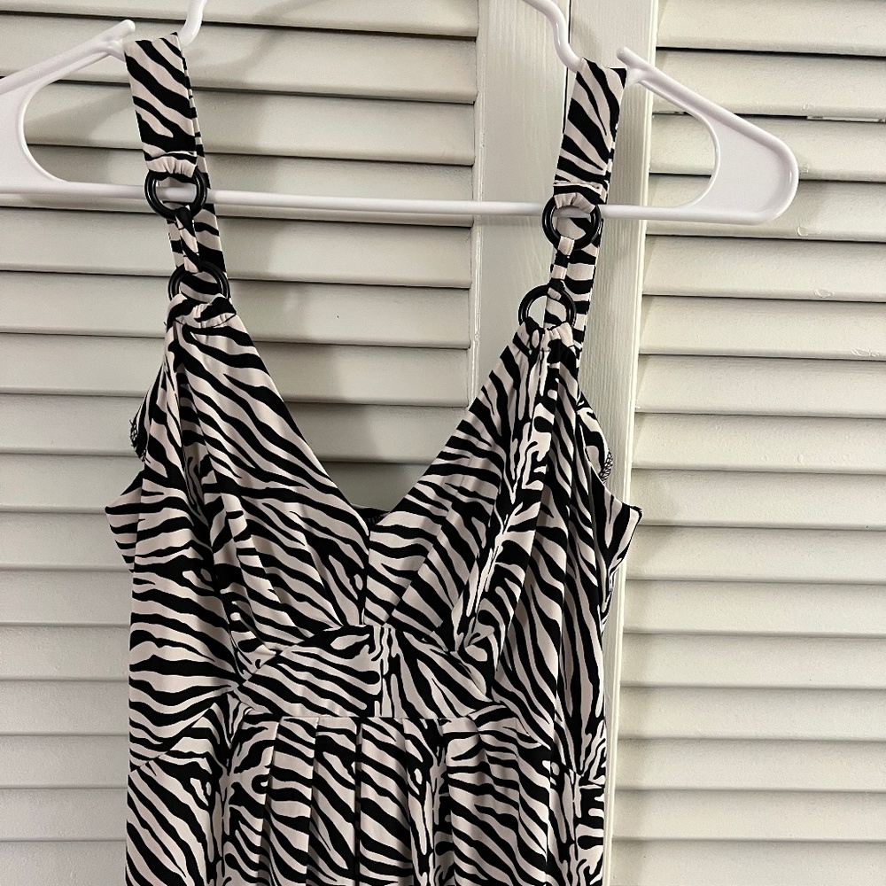 Alyn Paige Zebra Print Dress